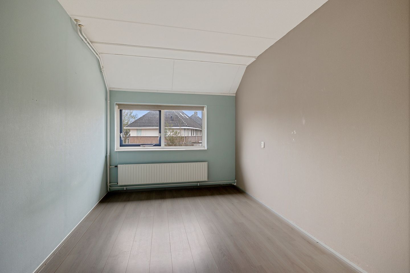 Photo 20 of Pijlkruid 3