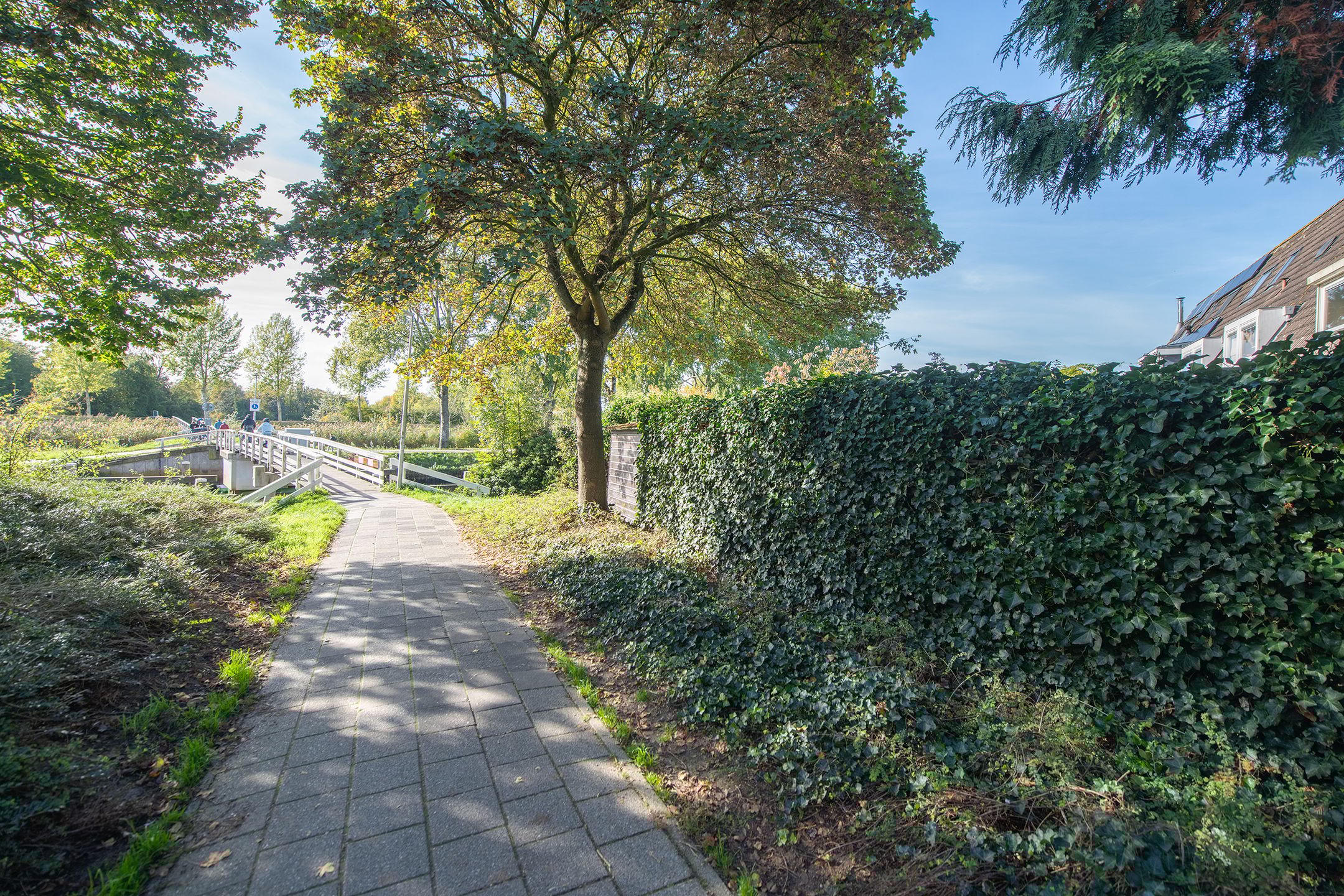 Photo 45 of Van Spilbergenstraat 40