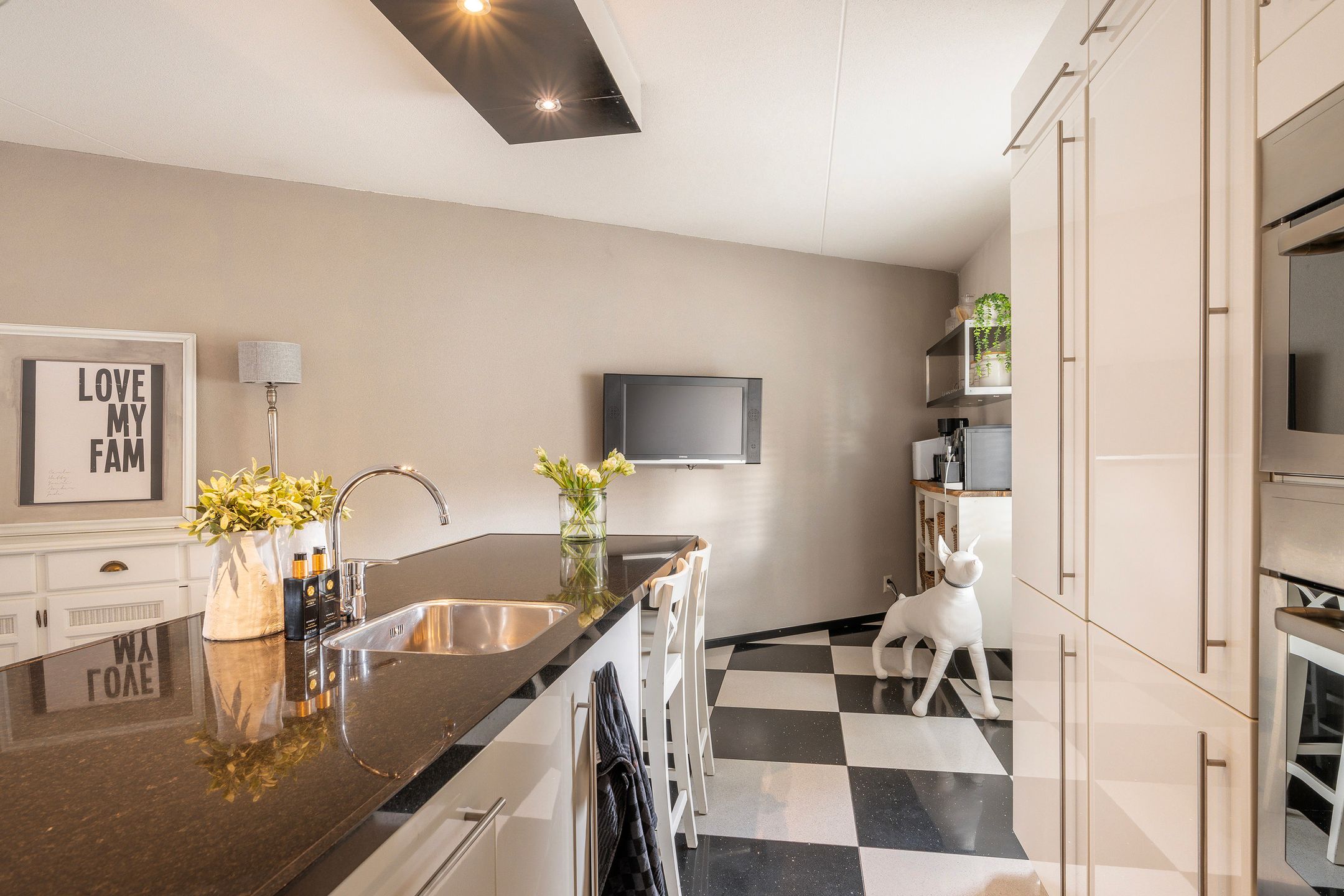 Foto 12 van Zandhaver 45