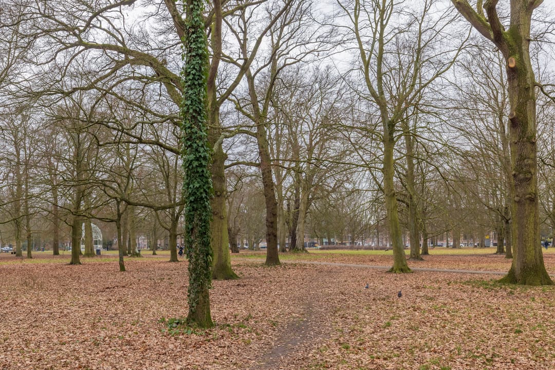 Foto 37 van Bellevuelaan 363