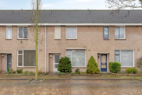 undefined main image