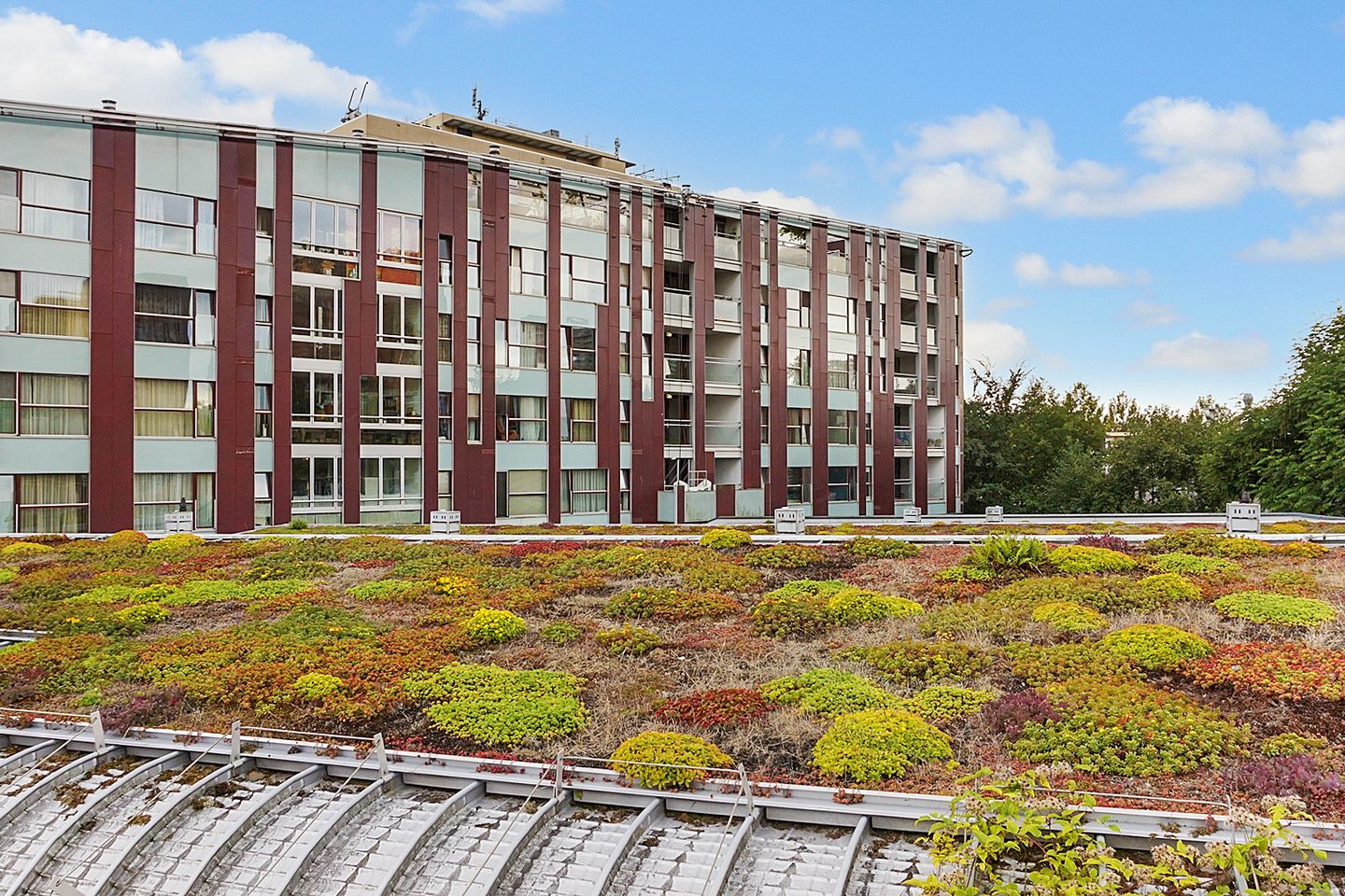 Foto 29 van Arent Janszoon Ernststraat 234