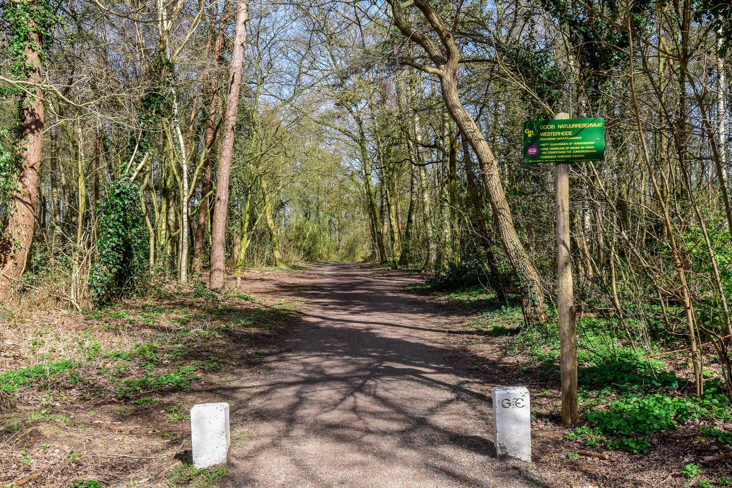 Foto 25 van Van Dijkstraat 12