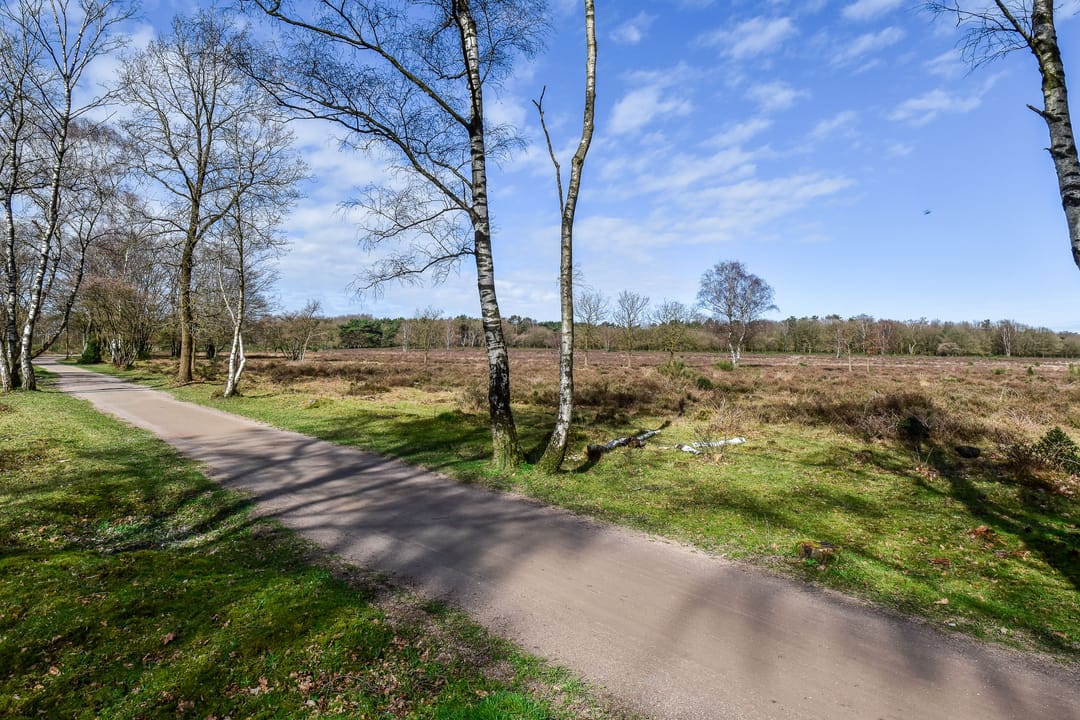 Foto 26 van Van Dijkstraat 12