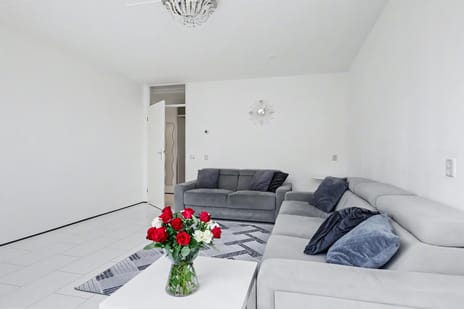 Boeroestraat 8 secondary image