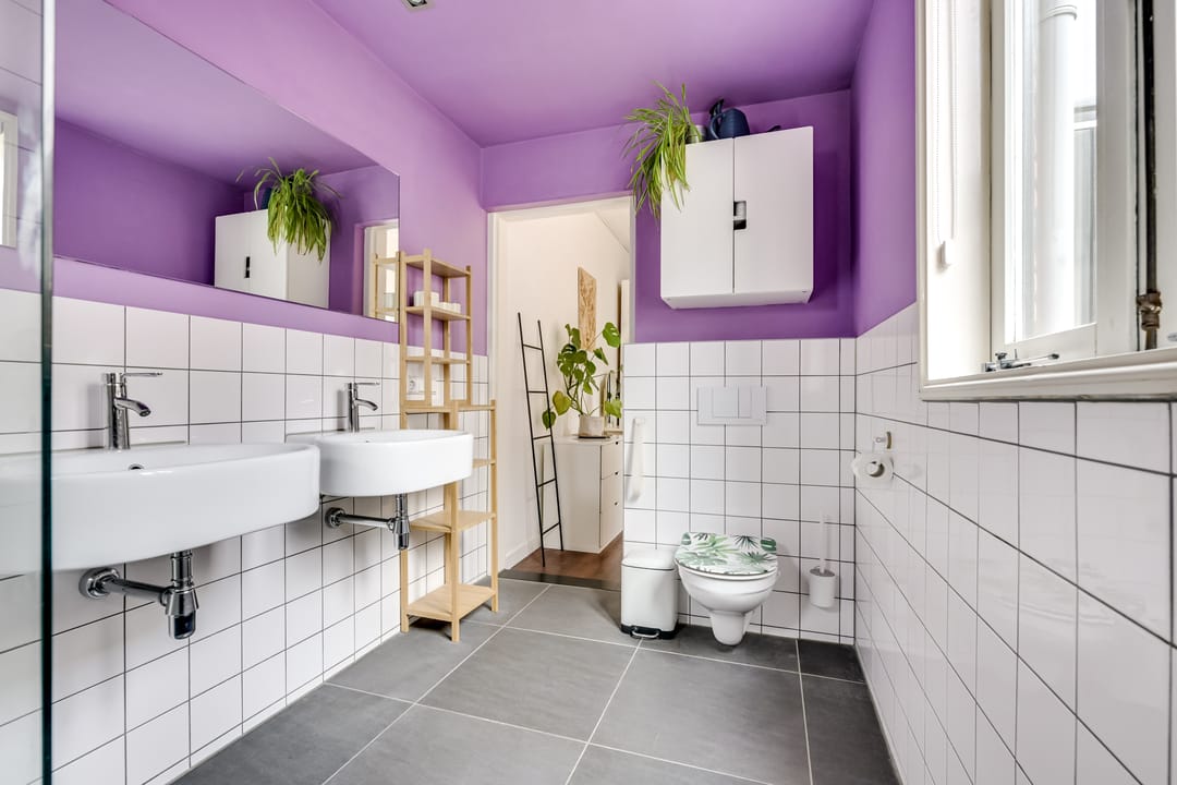 Foto 31 van Nieuwe Koekoekstraat 10