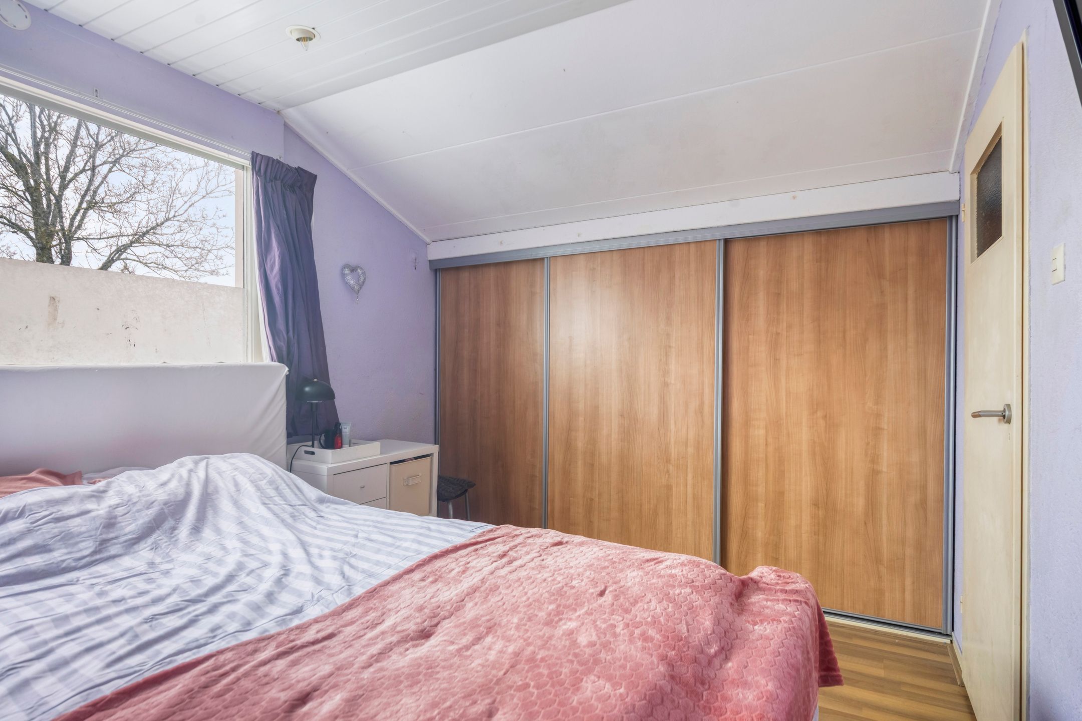 Foto 21 van Van Hallstraat 12