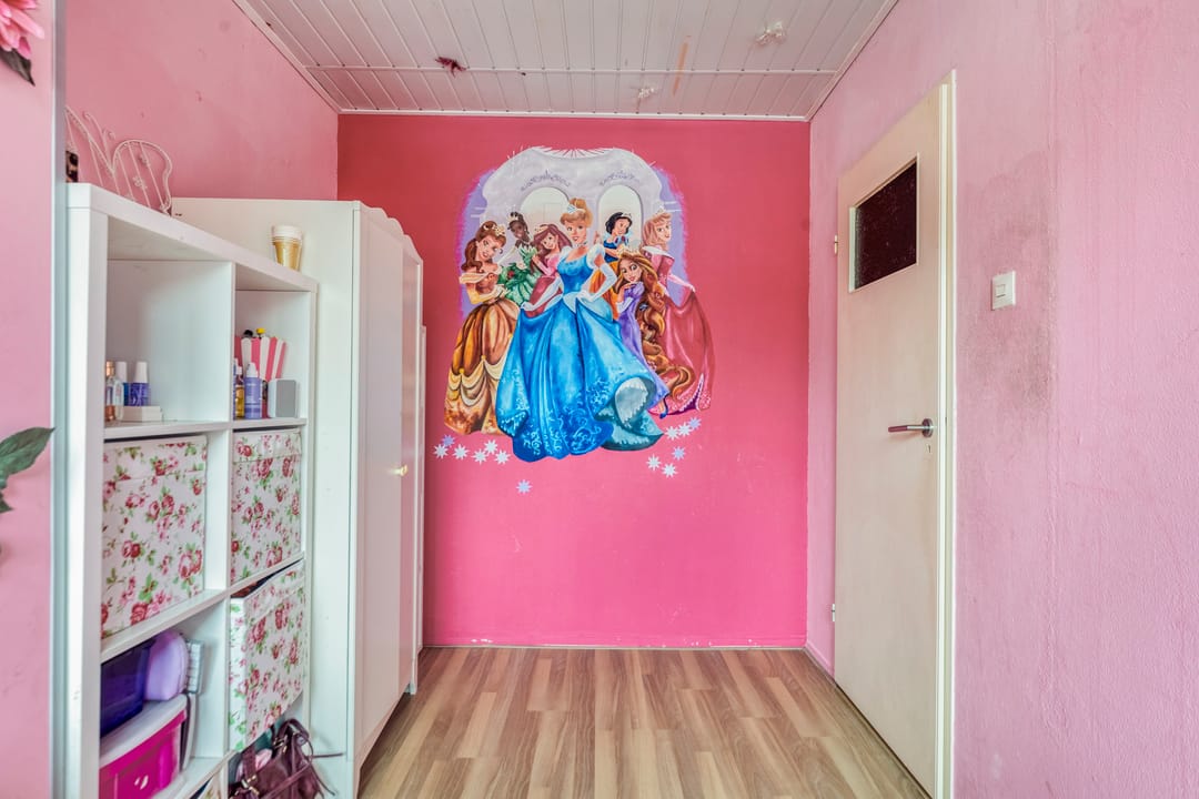 Foto 23 van Van Hallstraat 12