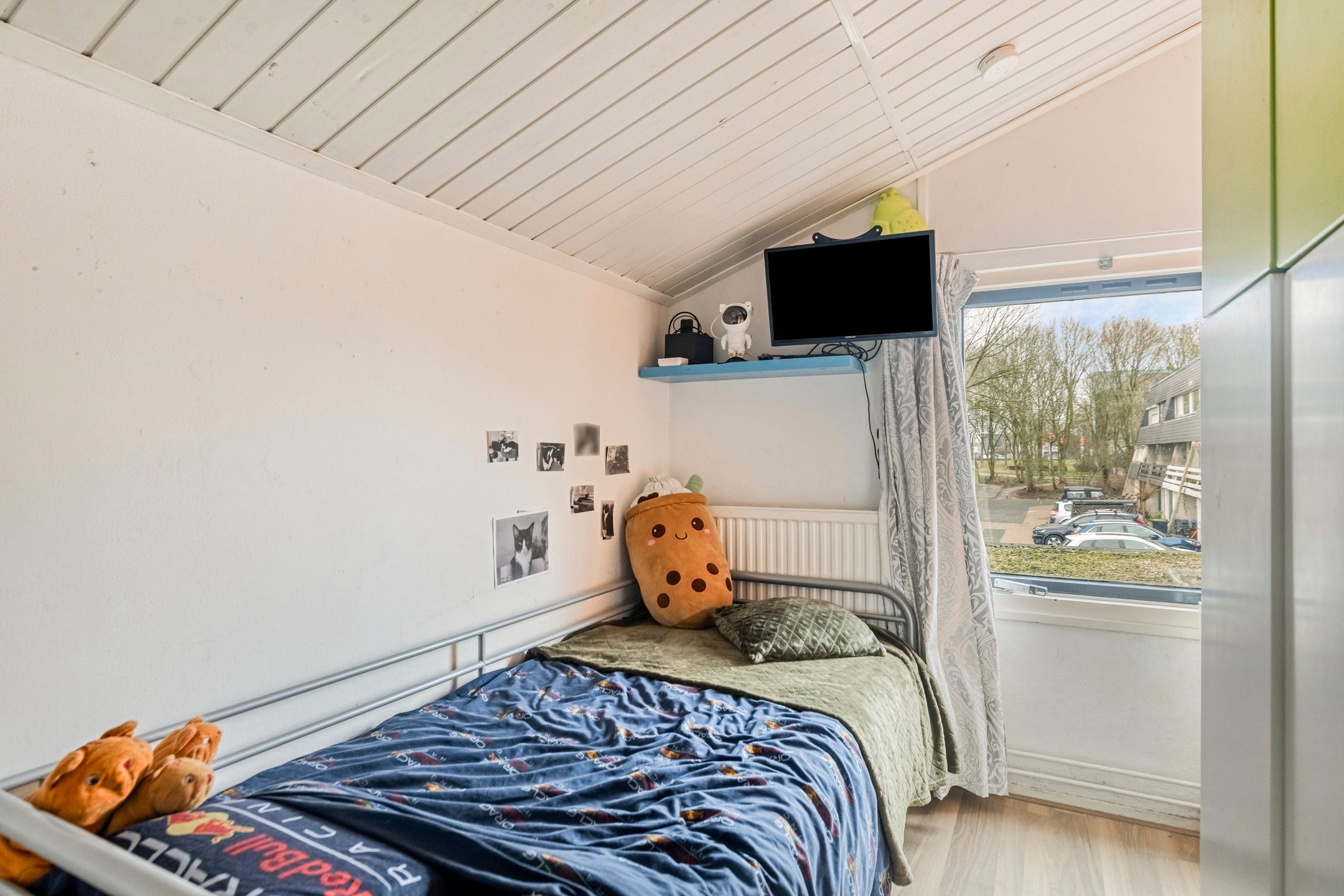 Foto 24 van Van Hallstraat 12