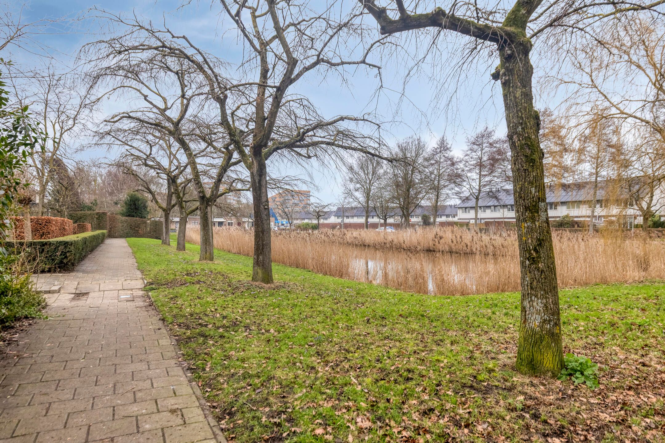 Foto 27 van Van Hallstraat 12