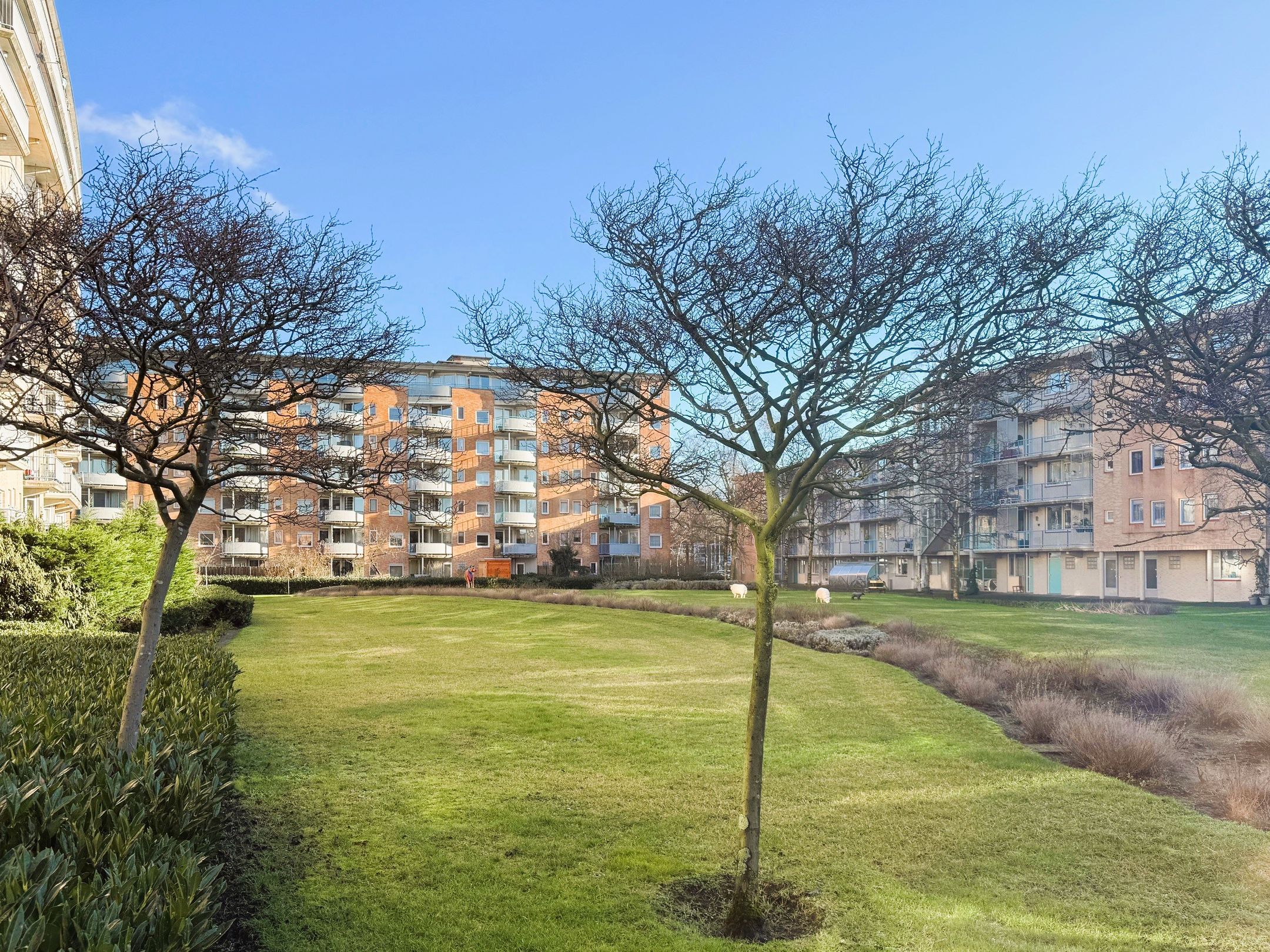 Foto 24 van Laan van Vlaanderen 168