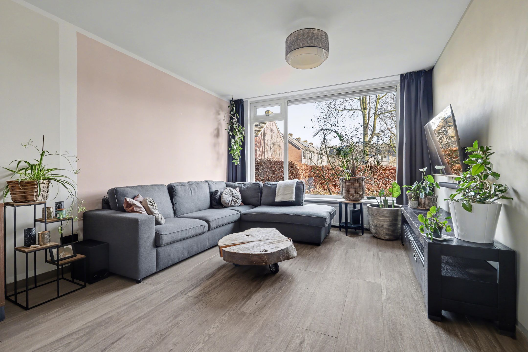 Foto 3 van Delphinus 48