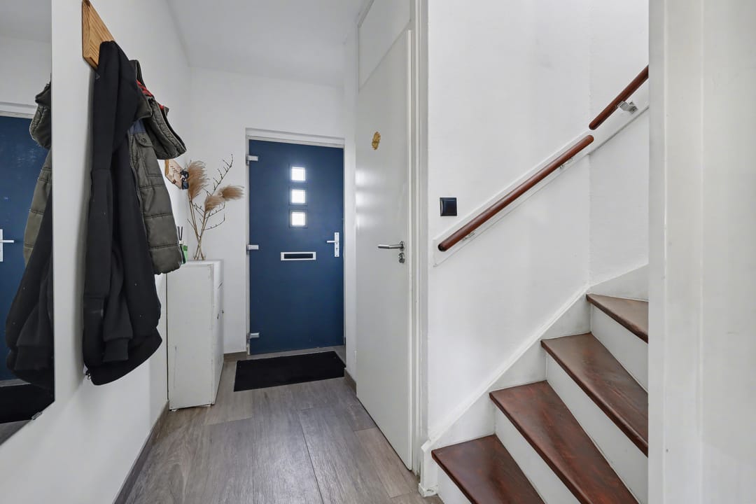 Foto 13 van Delphinus 48