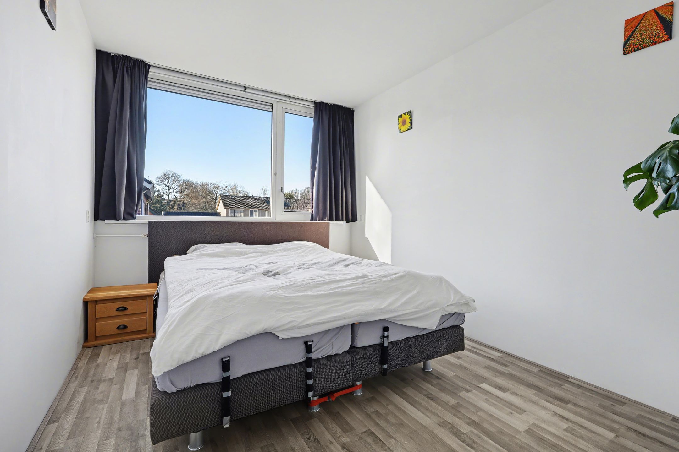 Foto 15 van Delphinus 48