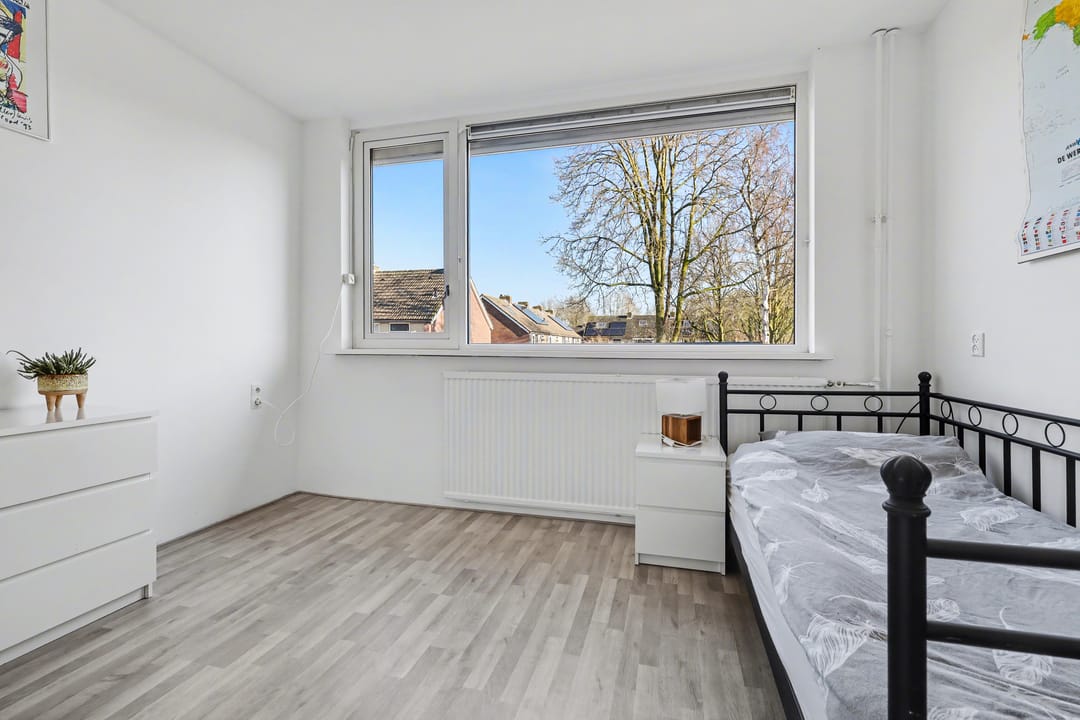 Foto 17 van Delphinus 48