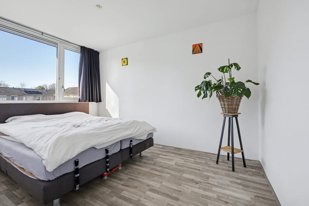 Foto 16 van Delphinus 48