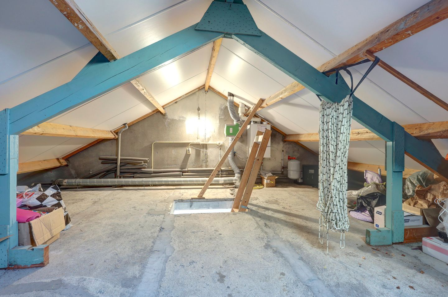 Foto 25 van Delphinus 48