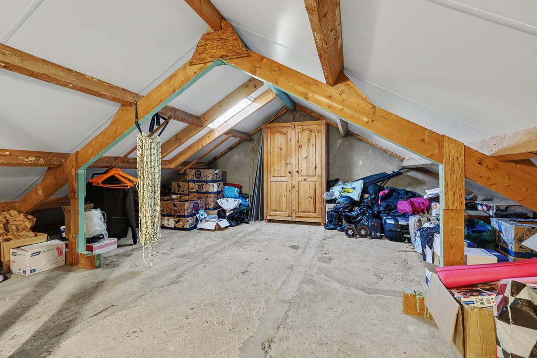 Foto 26 van Delphinus 48