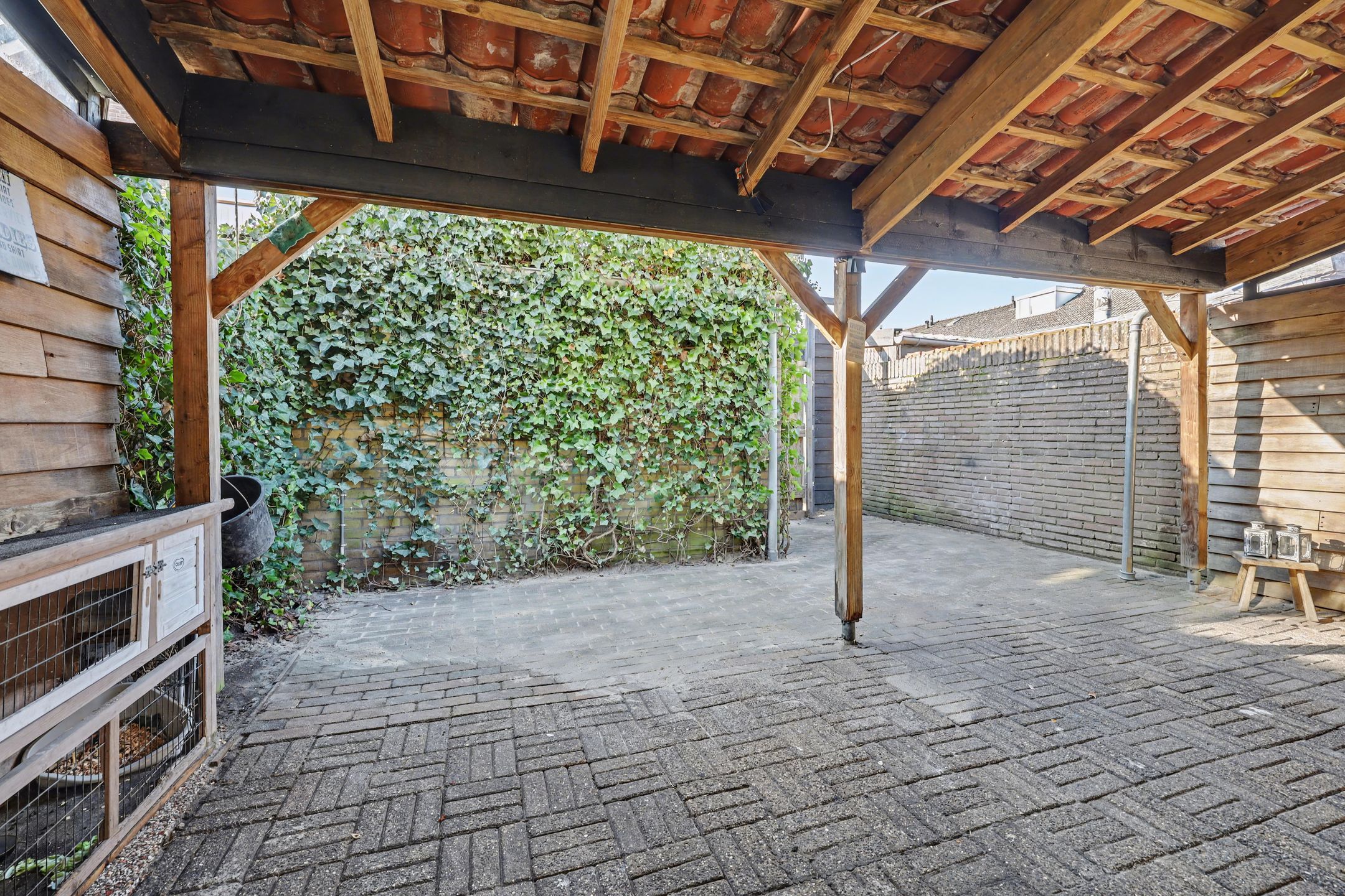 Foto 27 van Delphinus 48