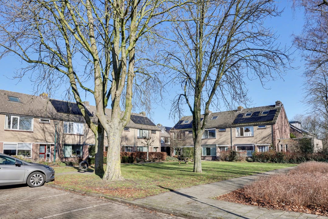 Foto 37 van Delphinus 48