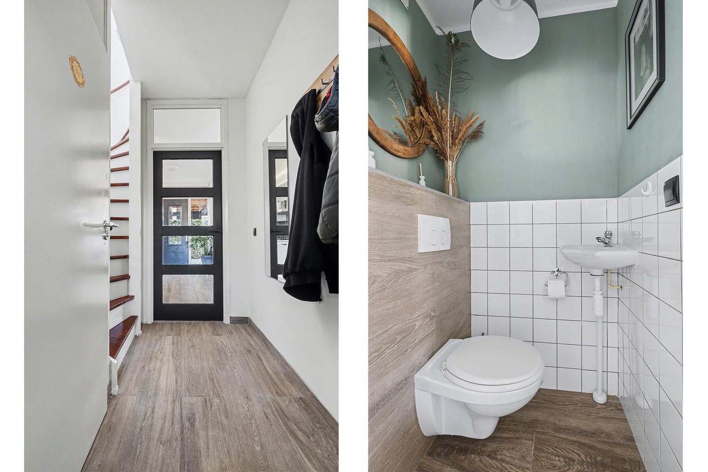 Foto 14 van Delphinus 48