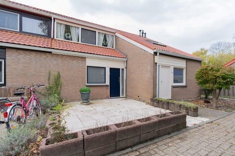 undefined main image