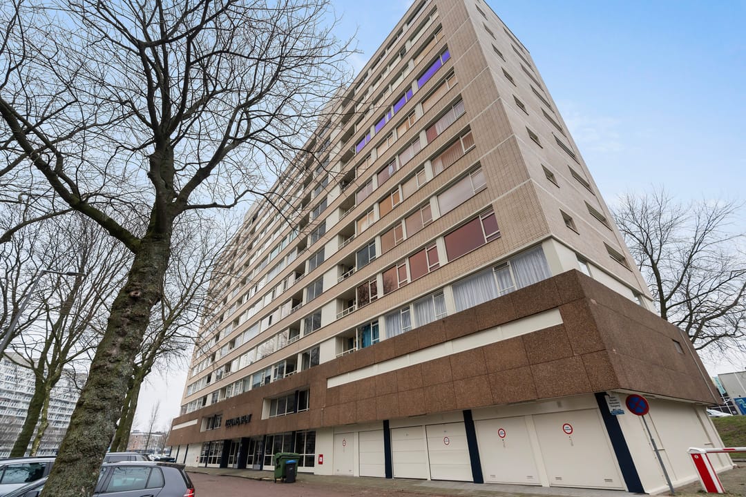 Foto 31 van 's-Lands werf 147