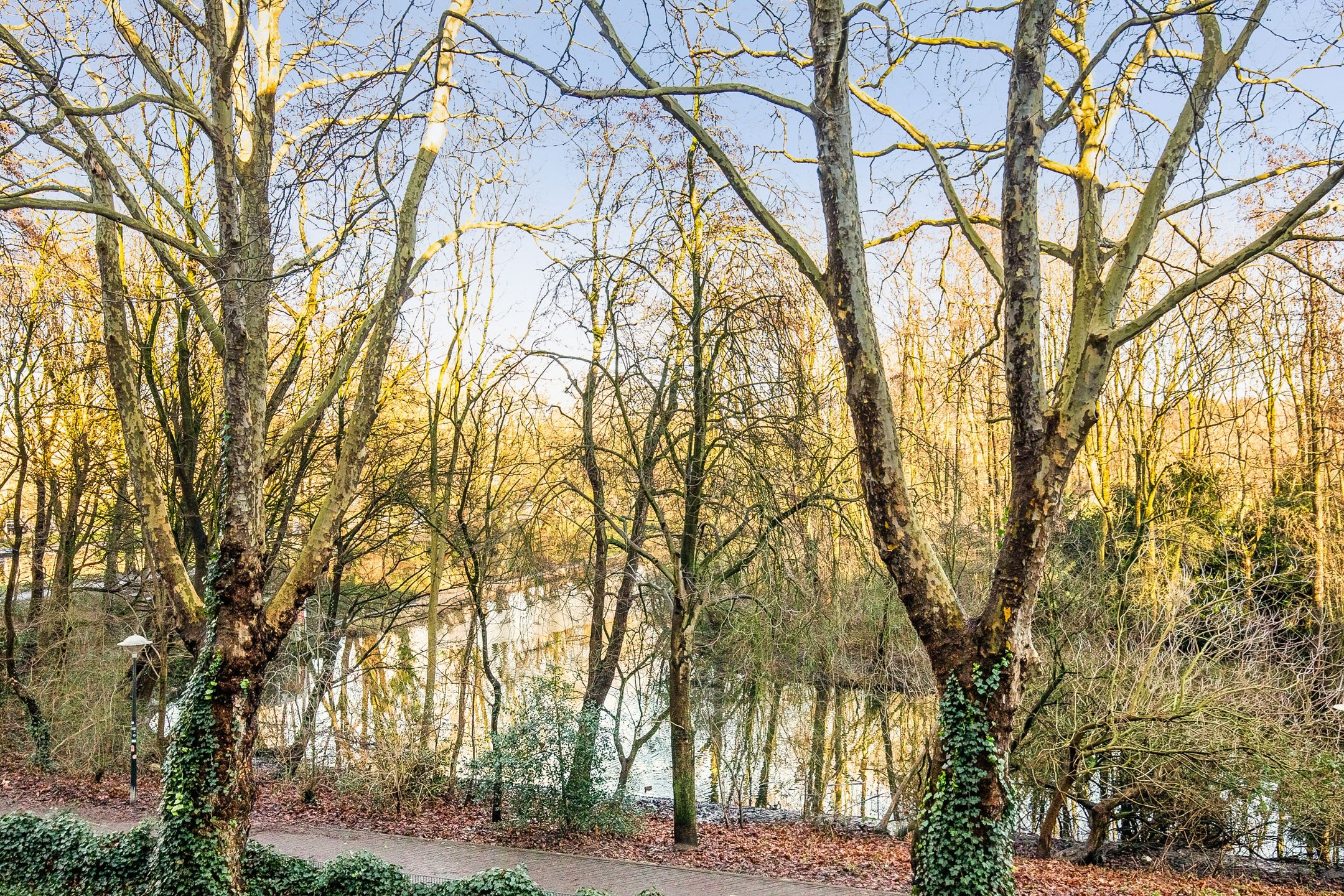 Photo 9 of Mercatorstraat 155-2