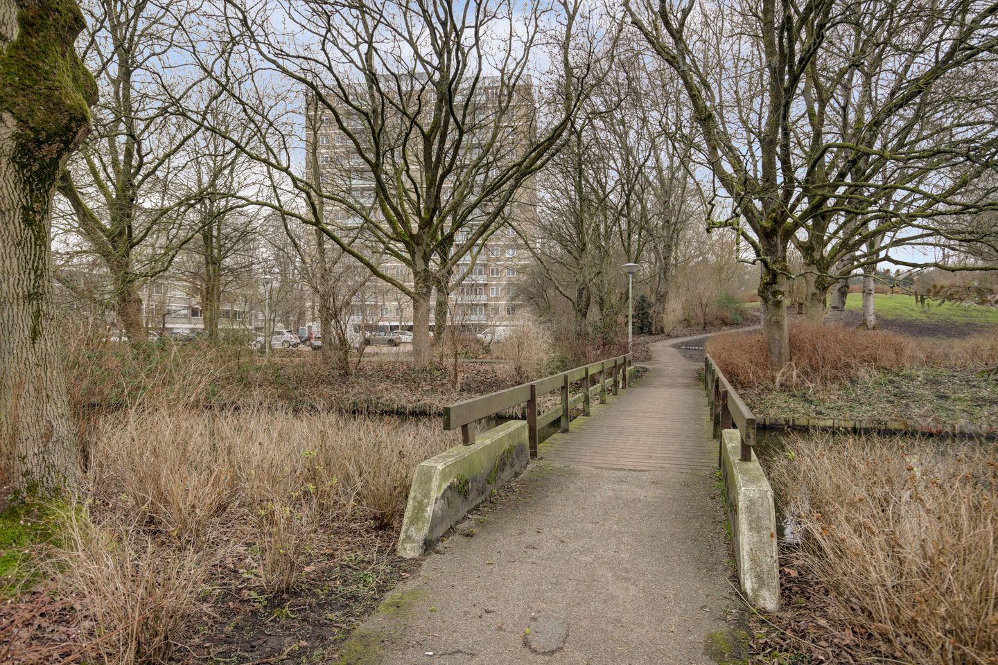 Foto 19 van Max Havelaarlaan 513