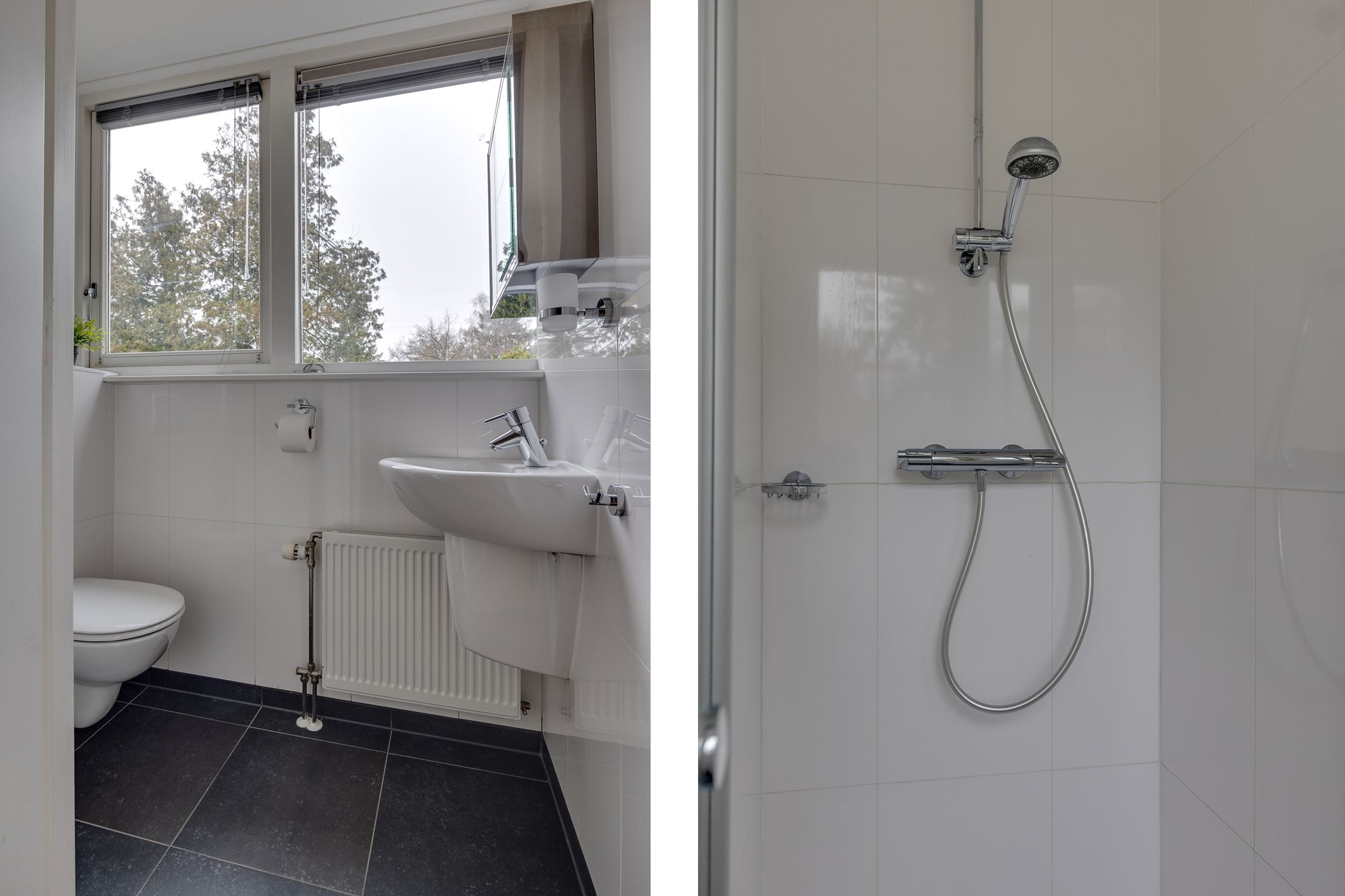 Foto 33 van de Wetstein Pfisterlaan 49