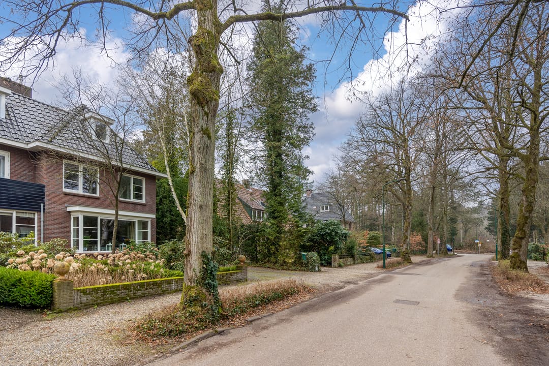 Foto 46 van de Wetstein Pfisterlaan 49