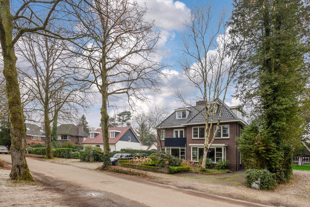 Foto 47 van de Wetstein Pfisterlaan 49