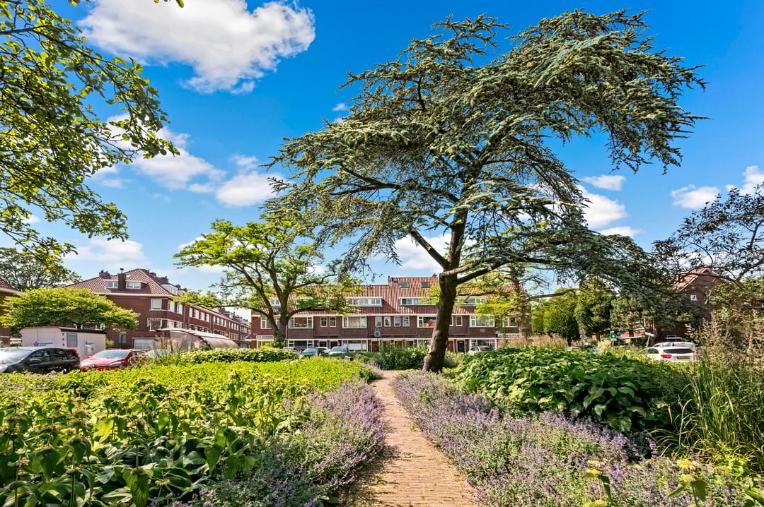 Foto 31 van van Halewijnlaan 2-B