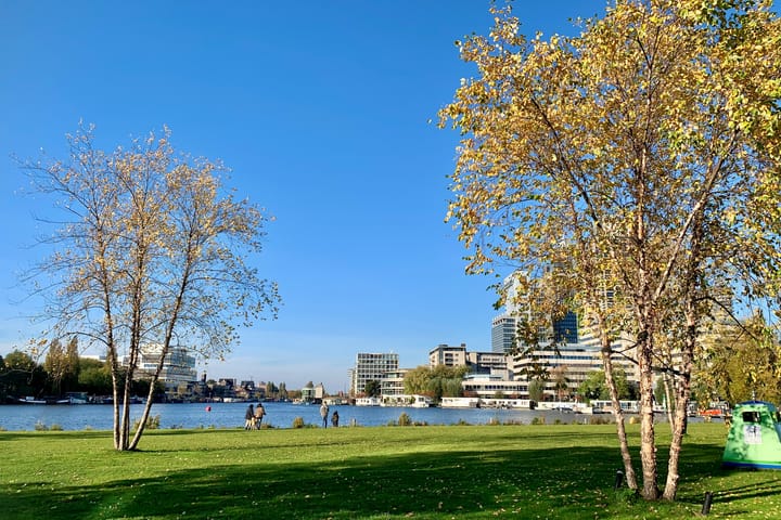 Photo 28 of Welnastraat 605