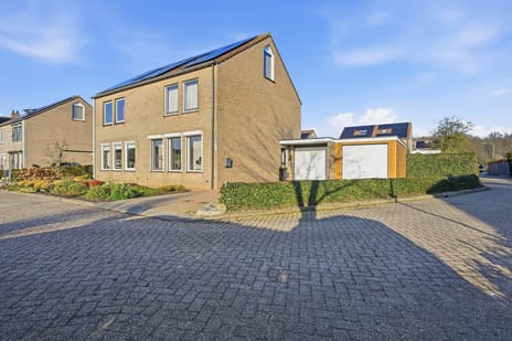 Akkerdistel thumbnail