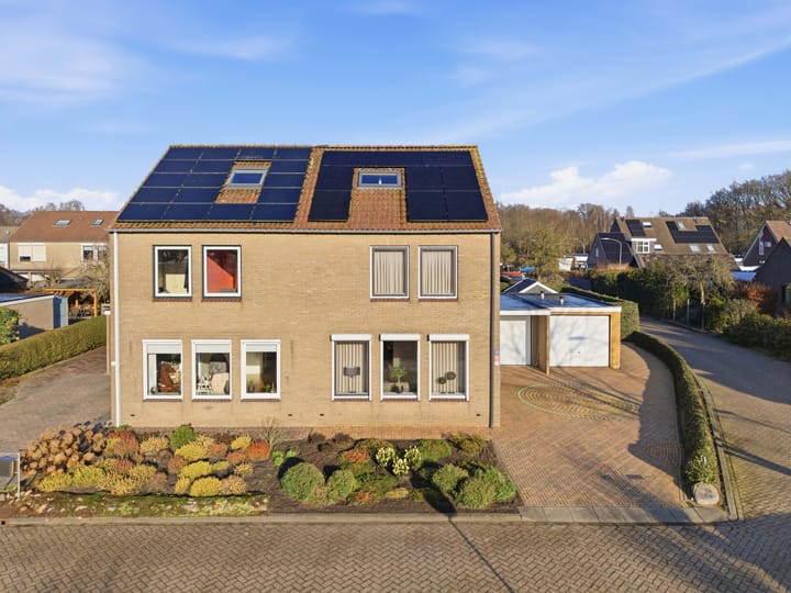 Photo 2 of Akkerdistel 63