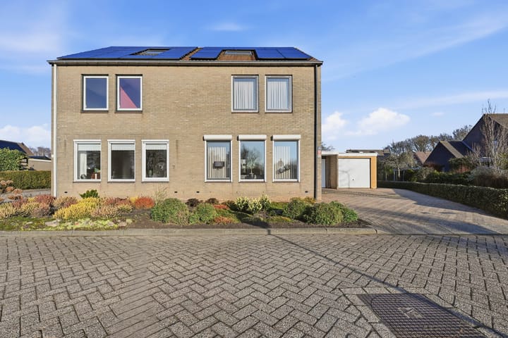 Photo 3 of Akkerdistel 63