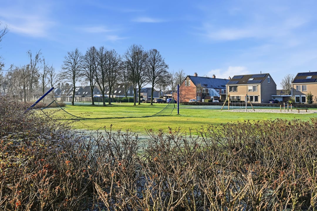 Foto 28 van Akkerdistel 63