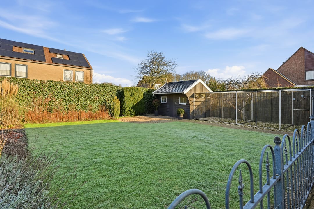 Foto 32 van Akkerdistel 63