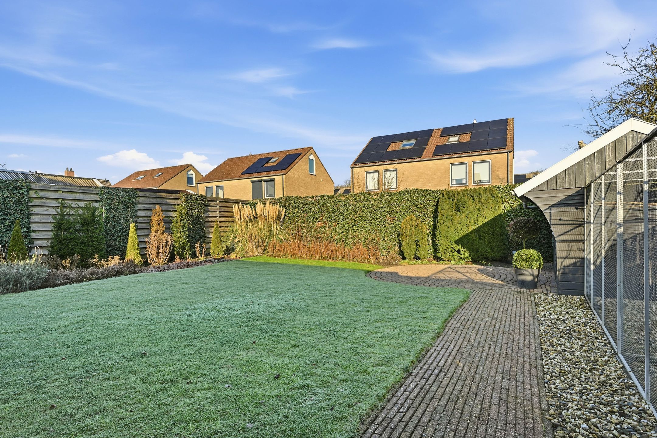 Foto 33 van Akkerdistel 63