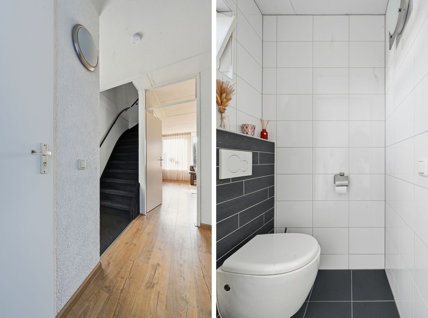 Foto 5 van Akkerdistel 63