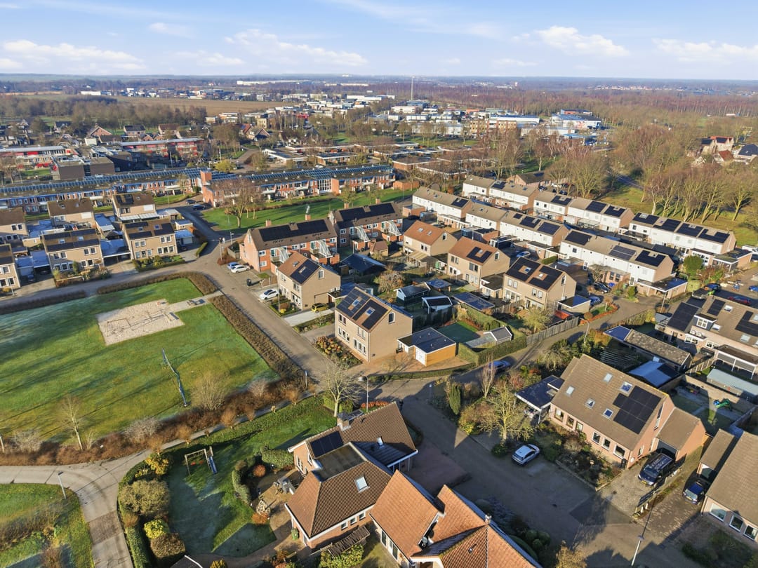 Foto 37 van Akkerdistel 63