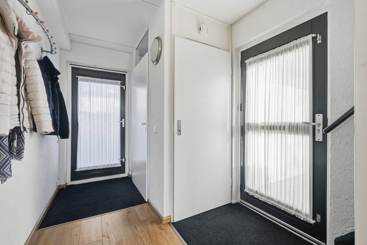 Photo 4 of Akkerdistel 63