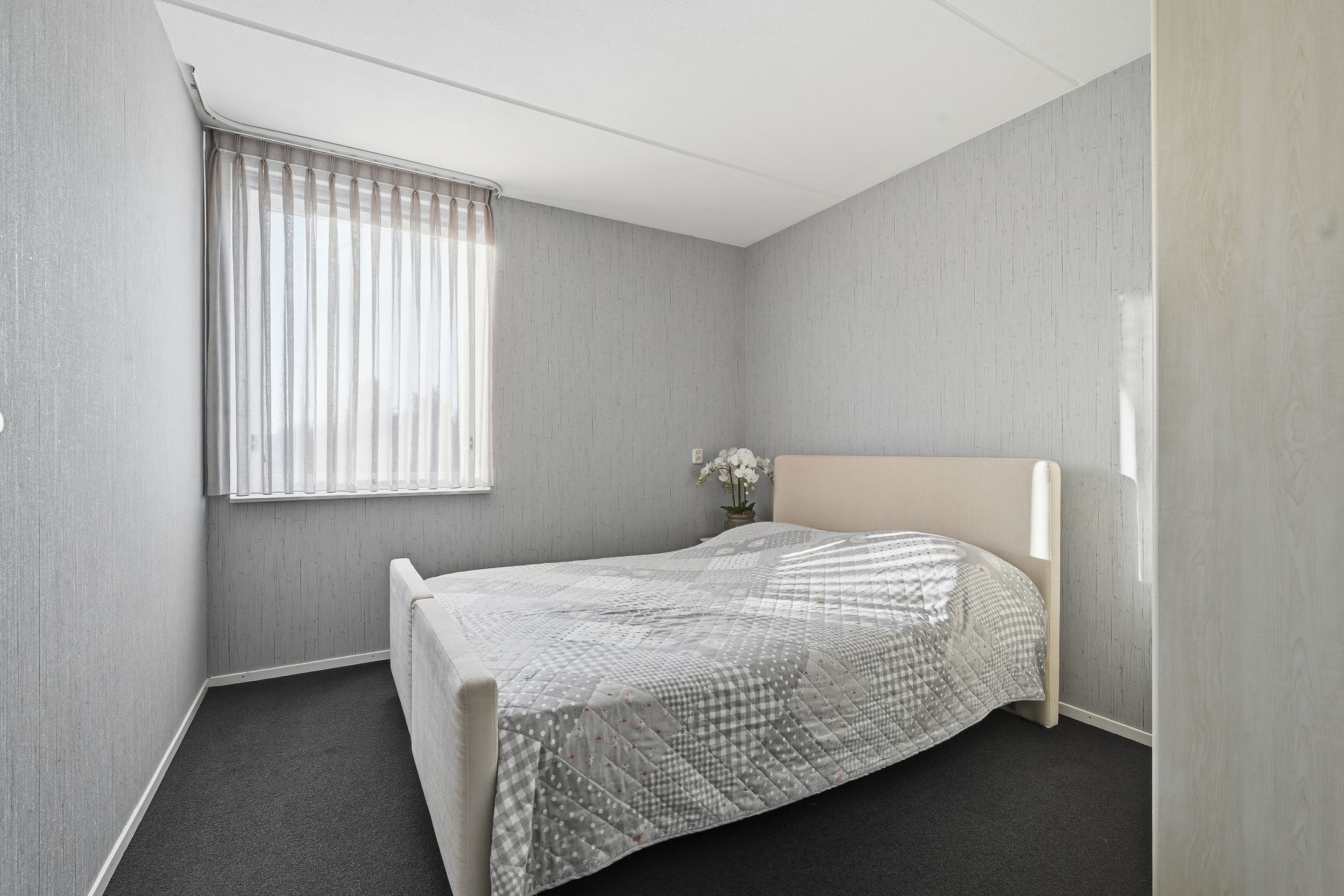 Foto 18 van Akkerdistel 63