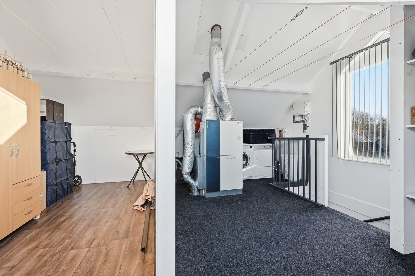 Foto 25 van Akkerdistel 63