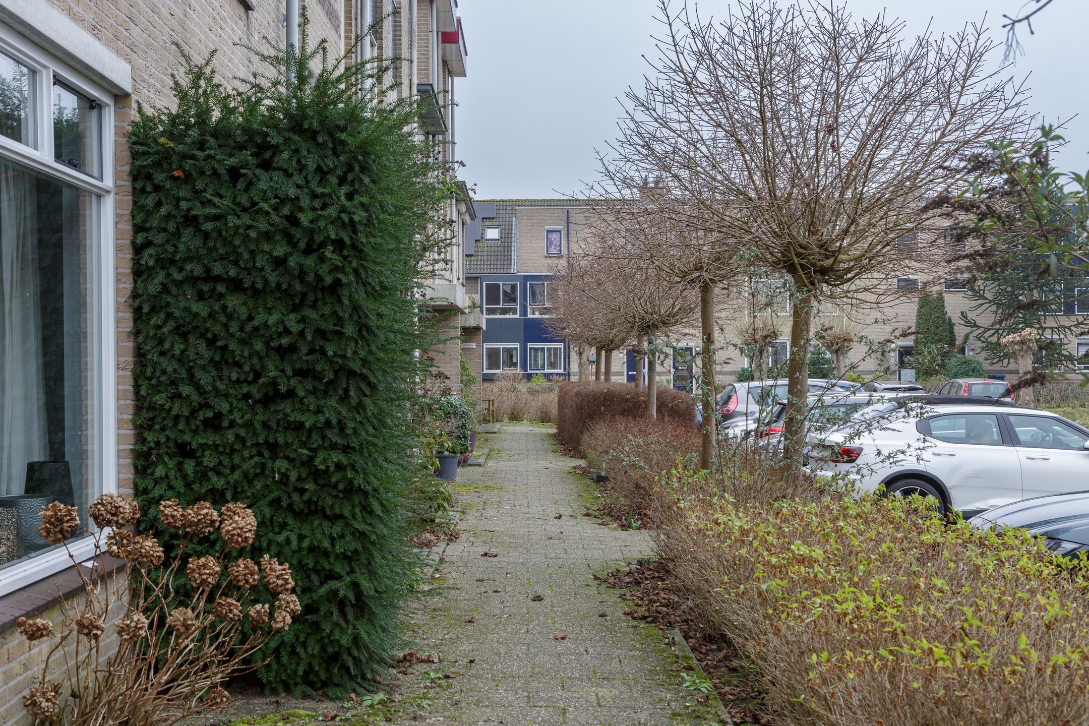 Foto 60 van Muntslag 11