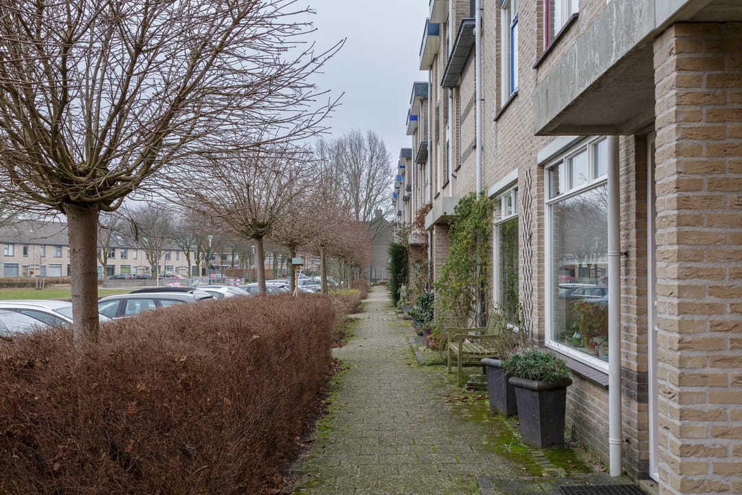 Foto 62 van Muntslag 11