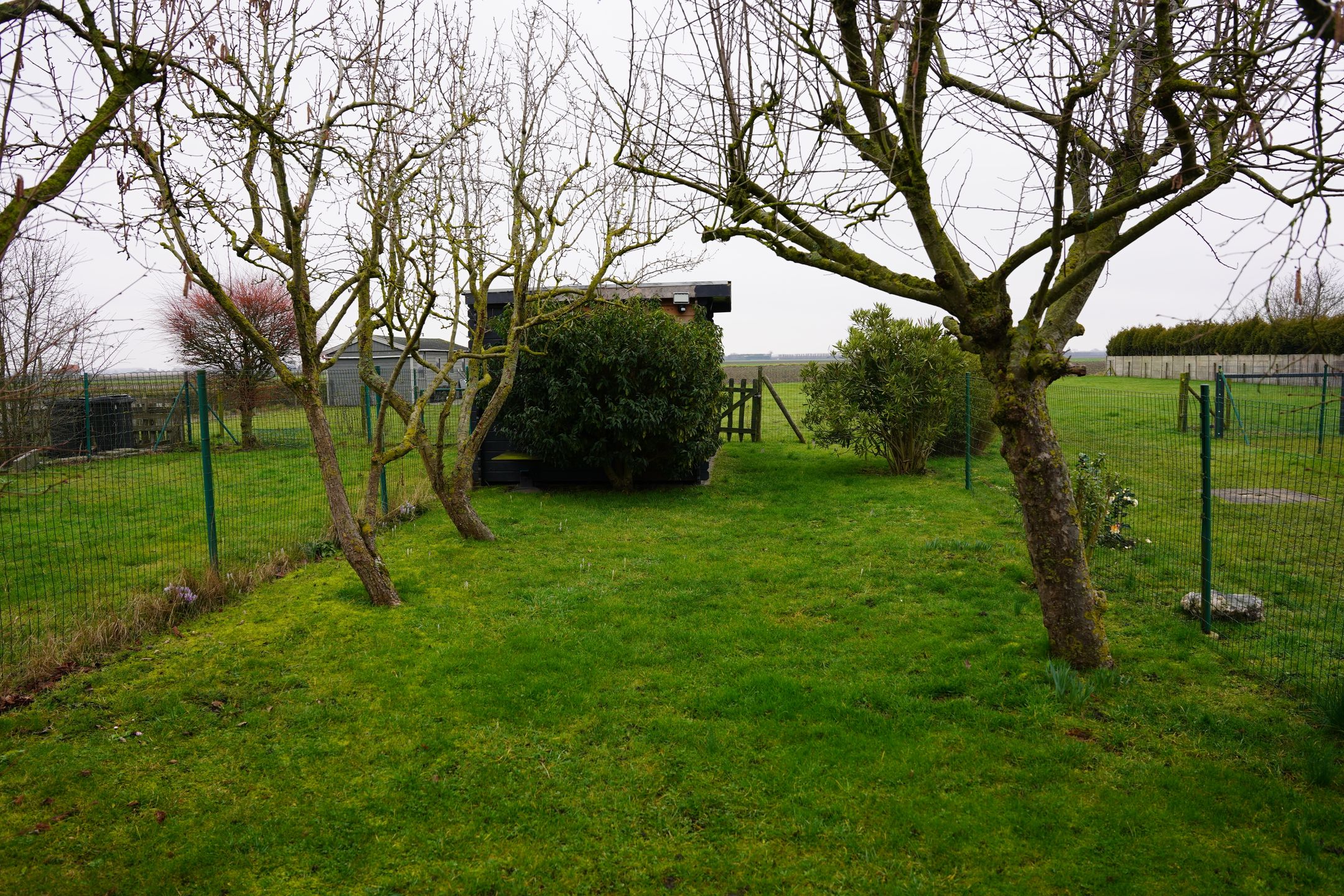 Foto 30 van Draaibrug 11