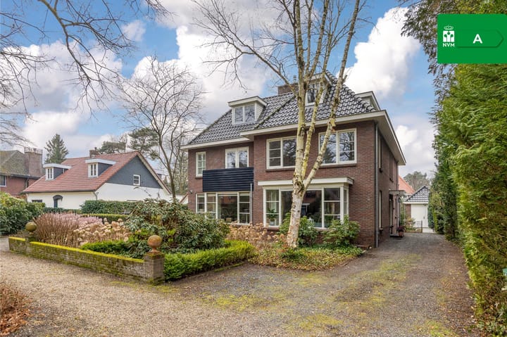 de Wetstein Pfisterlaan 49