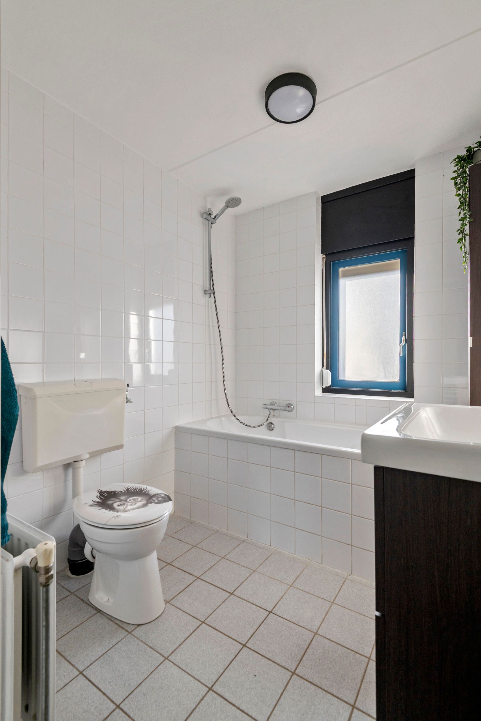 Foto 30 van De Spoelerij 21